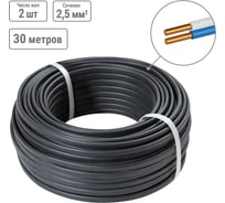 Кабель TDM ELECTRIC ВВГ-П нгА-LS 2х2,5 окN-0,66 ГОСТ 30м SQ0117-0090