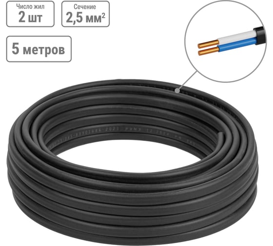 Кабель TDM ELECTRIC ВВГ-П нгА-LS 2х2,5 окN-0,66 ГОСТ 5м SQ0117-0010