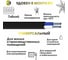 Кабель ОРЕОЛ АВВГп 2х6 мм ГОСТ 100 м 00-00002523 3