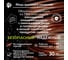 Кабель ВВГп нгА -LS LTx 3х4 ОРЕОЛ ГОСТ 100м 00-00018411 7