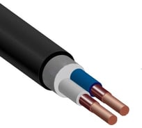 Кабель TDM ELECTRIC ВВГнг(А)-LS 2х4 ок(N)-0,66 ГОСТ (100м) SQ0117-0199