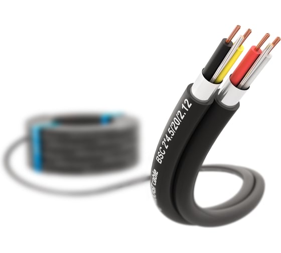 Двухканальный балансный звуковой кабель PROCAST cable 2х(20/0,12 + XLPE), экран (DW7х0,2+AL), 4,5х9 мм, черный, 25 м, BSC 2*4,5/20/0,12 НФ-0001396 1