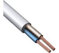 Провод ПВС Русский Свет 2x2.5 380В упаковка 100м Конкорд 7214