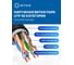 Кабель 5Bites UTP / SOLID / 5E / CCAG / PVC+PE / BLACK / OUTDOOR / 100M US5500-100APE 3