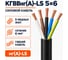 Кабель СПЕЦ КГВВнг(А)-LS 5х6 мм2, 5 метров СПЕЦ-КГВВНГ(А)-LS 5Х6-5 2