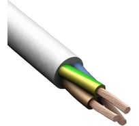 Провод ПВС Русский Свет 3x2.5 380В упаковка 5м Конкорд 7234