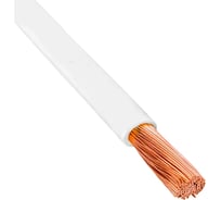 Провод PRYSMIAN ПуВнг(А)-LSLTx 1*10 белый 100м 8101080201