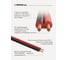 Акустический кабель PROCAST cable SBR 16.OFC.1,306.5, 16AWG 2x1,306mm2, красно-черный, 5 м НФ-00001753 7