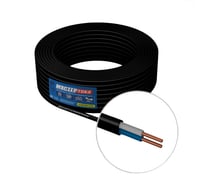 Кабель Ввгбм-пнг(a)-ls Мастер Тока 2x4 черный (20) МТ1683