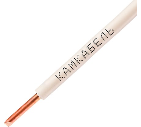 Провод ПуВнг(А)-LS 1x6 Б 100м Камкабель 2217О02VШ1L0К000100М