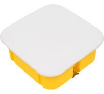 Распределительная коробка Systeme Electric для полых стен 100x100x50 diy IMT351611