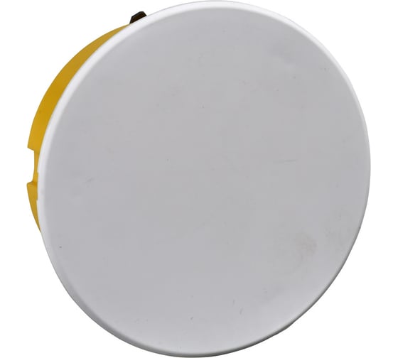 Распределительная коробка Systeme Electric для полых стен 80(77)x45 diy IMT351601
