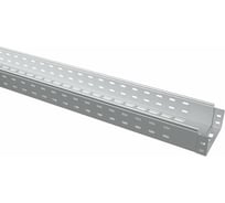 Лоток перфорированный TDM ELECTRIC 80x100x3000-1,0 мм SQ2901-0207