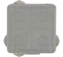 Распределительная коробка ТУНДРА TUNDRA, 100x100x50 мм, IP54, для открытой установки 4283302