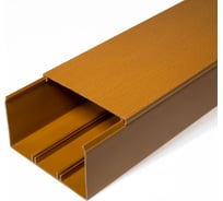Кабель-канал Промрукав бук 2-й замок 100х60 2м PR.025447