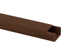 Кабель-канал ЭРА 40x25 дуб, 2 метра Б0031162
