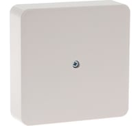 Распределительная коробка ТУНДРА 100x100x25 мм, IP42, для открытой установки 4283306