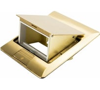 Люк в пол на 2 модуля Экопласт LUK 2BR 45х45мм, латунь 70020