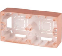 Коробка накладного монтажа ЭРА 12610214 2 поста, Эра 12, медь Б0043178