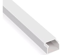 Кабель-канал LEIDEN ELECTRIC 100x40, белый, 2 метра 809051