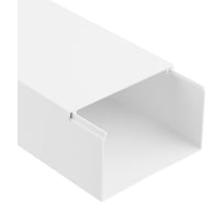 Кабель-канал REXANT 100x60 мм белый 28-0060-2