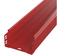 Лоток неперфорированный Промрукав Стандарт 300x100x3000 (0,8 мм ) RAL 3000 3м. PR16.1888
