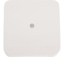 Распределительная коробка Systeme Electric BLANCA О/У IP42, МОЛОЧНЫЙ BLNRK000012