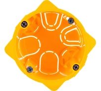 Коробка для сухих перегородок Legrand Batibox 1п гл.50мм 80051 16313719