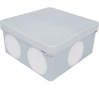 Монтажная коробка IP66 (100x100x50 мм.) Унитарное предприятие "ЭлКис" ОО "БелТИЗ" КМ-015 (ЭЛКИС)