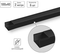 Кабель-канал TDM ELECTRIC черный 100х60 2 метра упаковка 6 штук AQ0402-2910