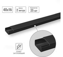 Кабель-канал черный TDM ELECTRIC 40х16, 2 метра, упаковка 25 штук SQ0402-2907