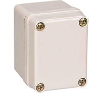 Распределительная коробка пластиковая SAIPWELL IP66 DS-AG-0506 60x50x55 мм SPL08-01