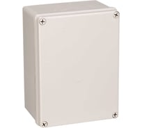 Распределительная коробка пластиковая SAIPWELL IP66 DS-AG-1725 250x175x75 мм SPL08-19