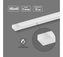 Кабель-канал TDM ELECTRIC 100x40, 2 метра, упаковка 12 штук белый SQ0402-1140