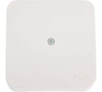 Коробка распределительная Systeme Electric (Schneider Electric) BLANCA О/У IP42, молочный BLNRK000012 15 шт 13606481280197