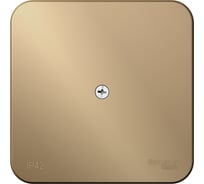Коробка распределительная Systeme Electric (Schneider Electric) BLANCA О/У IP42, титан BLNRK000014 15 шт 13606481332896