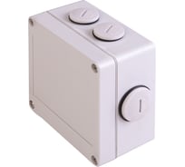 Бокс всепогодный защитный REXANT RexBox 100х100х55 IP65 51-1051