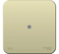 Распределительная коробка Systeme Electric Blanca наруж Беж IP42 SE BLNRK000017