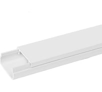 Кабель-канал TDM ELECTRIC белый 20х10, 2 метра, упаковка 9 штук SQ0402-3804