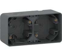 Бокс Systeme Electric 2-местный ОП Mureva IP55 антрацит MUR37914