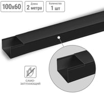 Кабель-канал TDM ELECTRIC черный 100х60, 2 метра, упаковка 1 штука SQ0402-3910