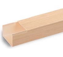 Кабель-канал TDM ELECTRIC ЭКО 3D сосна бежевый 100х60, 2 метра, упаковка 1 штука SQ0402-3310