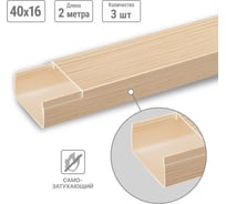 Кабель-канал TDM ELECTRIC ЭКО 3D сосна бежевый 40х16, 2 метра, упаковка 3 штуки SQ0402-3307