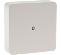 Распределительная коробка TUNDRA 100х100х25 мм, IP42, для открытой установки 4283306