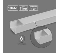 Кабель-канал TDM ELECTRIC серый, 100х60, 2 метра, упаковка 1 штука SQ0402-5110