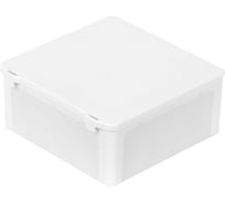 Коробка распределительная двухкомпонентная Тусо для открытой проводки 100х100х45 мм с откидной крышкой белая IP 54 78 шт Рувинил 67245Б