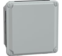 Коробка Systeme Electric SDB IP55, низкая крышка 105х105х49 подг. SE NSYDB1010M