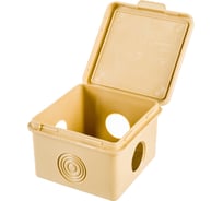 Распаечная коробка Урал ПАК для открытой проводки под светлое дерево 65*65*50мм (квадратная), 4 входа КО-81011065-045