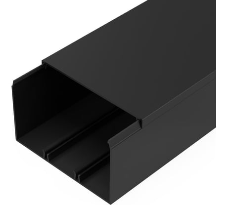 Кабель-канал Промрукав черный 2-й замок в п/э 100x60 2м PR03.0222