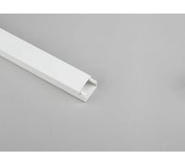 Кабель-канал ЮПИТЕР 25x16 белый 2 м JP3310-20